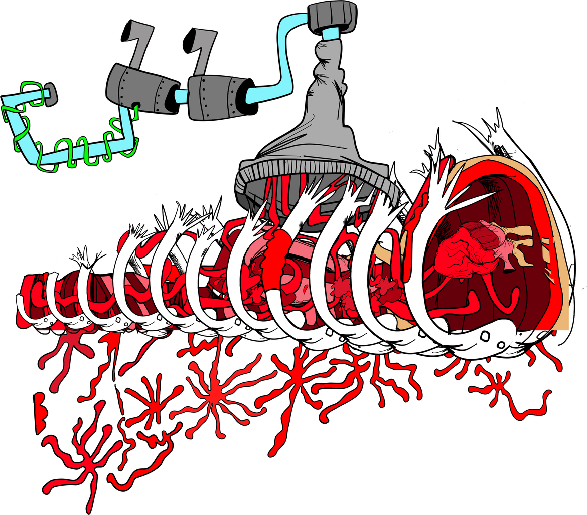 An organ vacuum at work