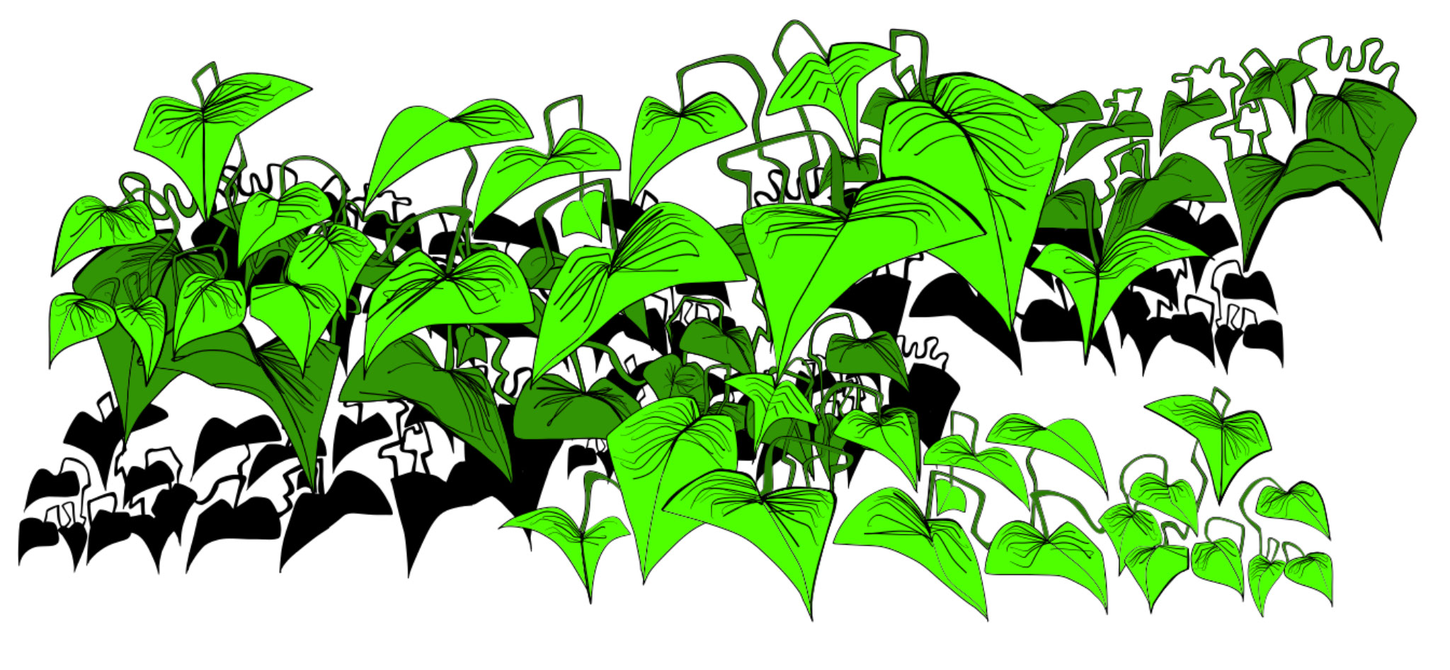Bug copy, authored Carny Island artwork