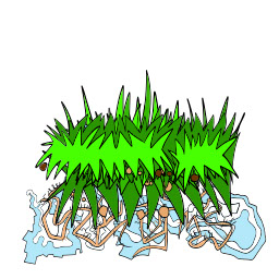 Carny grass, authored Carny Island artwork