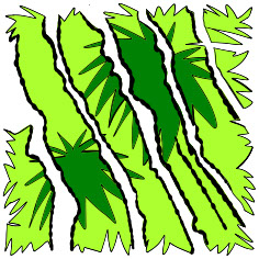 Clump3, authored Carny Island artwork