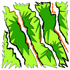 Clump5, authored Carny Island artwork